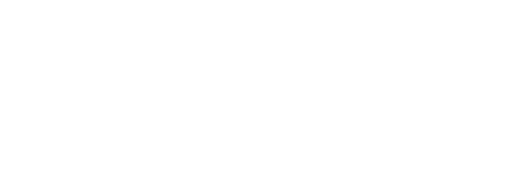 Logo Phinisi 1000x330 w